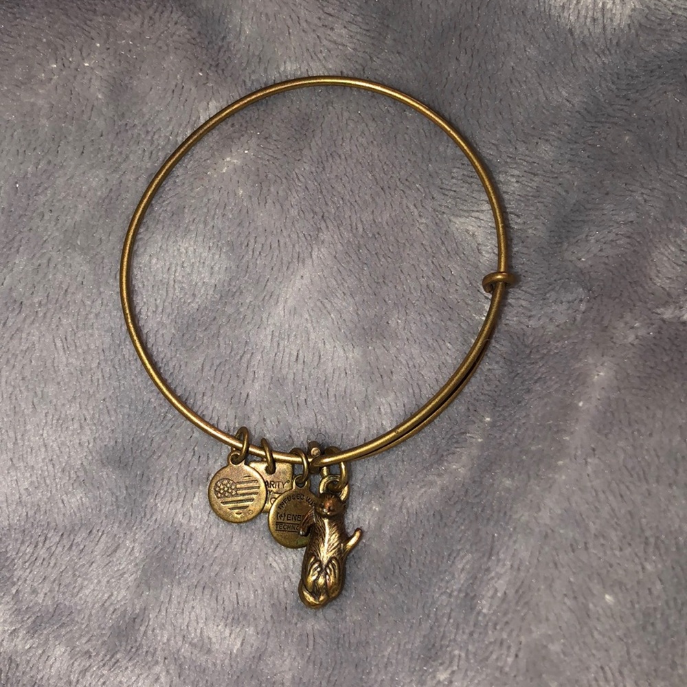 Alex and ani bracelet
